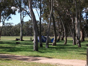 Wild Dog Valley SA Palm Beach Accommodation
