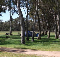 Black Cockatoo Bush Camp - Palm Beach Accommodation