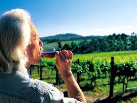 Ashton Hills Vineyard - Palm Beach Accommodation 0