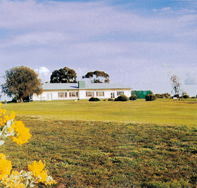 Lucindale Country Club - Palm Beach Accommodation