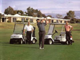 Barmera Country Club - Palm Beach Accommodation 0