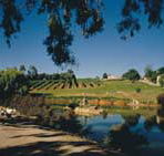Mount Hurtle Winery home of Geoff Merrill Wines - Palm Beach Accommodation
