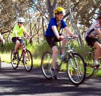 Penola Cycling Trails - Palm Beach Accommodation