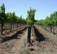 Temple Bruer Winery - Palm Beach Accommodation