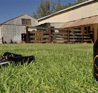 Wilkadene Woolshed Brewery - Palm Beach Accommodation