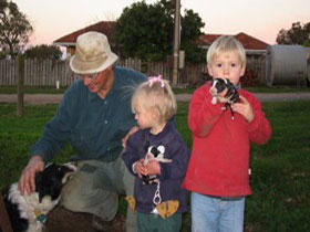 Orrie Cowie Merino And Poll Merino Stud - Palm Beach Accommodation 0