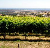 Braydun Hill Vineyard - Palm Beach Accommodation