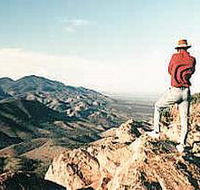 Devil's Peak Walking Trail - Palm Beach Accommodation