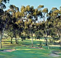 Tanunda Pines Golf Club - Palm Beach Accommodation