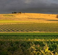 Kellermeister Wines - Palm Beach Accommodation