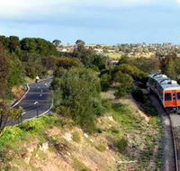 Coast to Vines Rail Trail - Palm Beach Accommodation