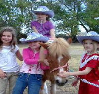 Amberainbow Pony Rides - Palm Beach Accommodation