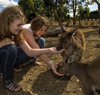 Kangaroo Island Wildlife Park - Palm Beach Accommodation