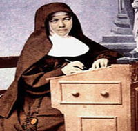 Mary MacKillop Penola Centre - Palm Beach Accommodation
