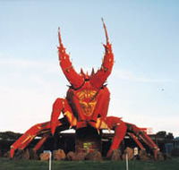 The Big Lobster - Palm Beach Accommodation
