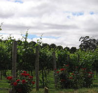 Manyara Vineyard - Palm Beach Accommodation