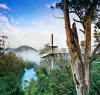 Tahune Adventures Tasmania - Palm Beach Accommodation