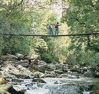 Arve Forest Drive - Palm Beach Accommodation