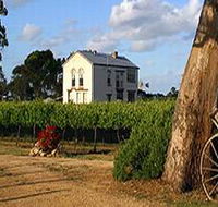 Highbank Vineyards - Palm Beach Accommodation