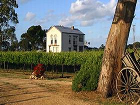 Highbank Vineyards - Palm Beach Accommodation 0