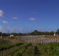 Deep Creek Wines and Alpacas - Palm Beach Accommodation