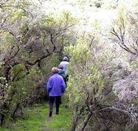 Jack And Hilda McArthur Walk - Palm Beach Accommodation