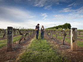 South East And Limestone Coast SA Palm Beach Accommodation
