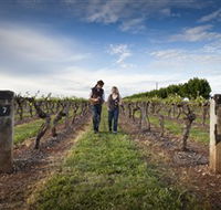 Coonawarra Wineries Walking Trail - Palm Beach Accommodation