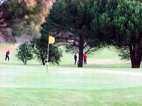 Meningie Lake Albert Golf Club - Palm Beach Accommodation 0