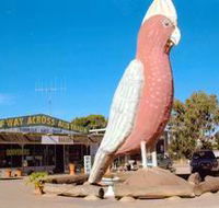 The Big Galah - Palm Beach Accommodation
