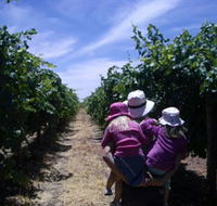 McLaren Vale Orchards - Palm Beach Accommodation