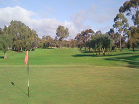 Regency Park Golf Course - Palm Beach Accommodation 0