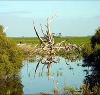 Bool Lagoon Game Reserve and Hacks Lagoon Conservation Park - Palm Beach Accommodation