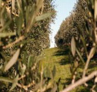 Evilo Estate