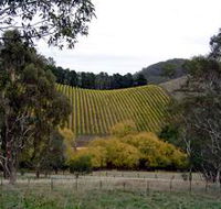 Mt Bera Vineyards - Palm Beach Accommodation