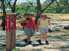 Riesling Trail - Palm Beach Accommodation 0