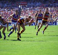 AAMI Stadium Tours - Palm Beach Accommodation