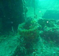 Wallaroo Scuba Club - Palm Beach Accommodation