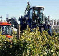 Ballast Stone Estate Wines Pty Ltd - Palm Beach Accommodation