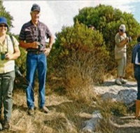 Coobowie Bird Hide - Palm Beach Accommodation