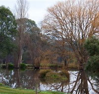 Gemtree Wetlands Ecotrail - Palm Beach Accommodation