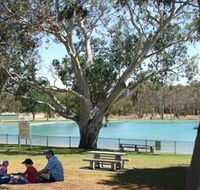 Naracoorte Nature Park and Swimming Lake - Palm Beach Accommodation