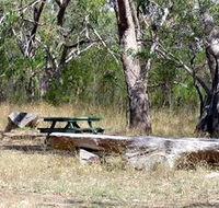 Penola Conservation Park - Palm Beach Accommodation