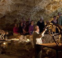 Naracoorte Caves National Park - Palm Beach Accommodation