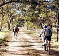 Bike About Mountain Bike Tours And Hire - Palm Beach Accommodation