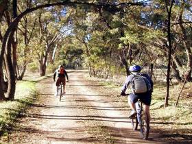 Bike About Mountain Bike Tours And Hire - Palm Beach Accommodation 0