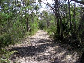 Wendy's Walk - Palm Beach Accommodation 0