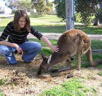 Pendleton Farmstay - Palm Beach Accommodation