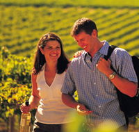Lady Bay Vineyard - Palm Beach Accommodation