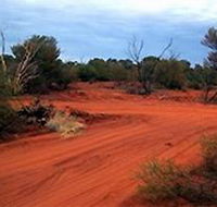 Tallaringa Conservation Park - Palm Beach Accommodation